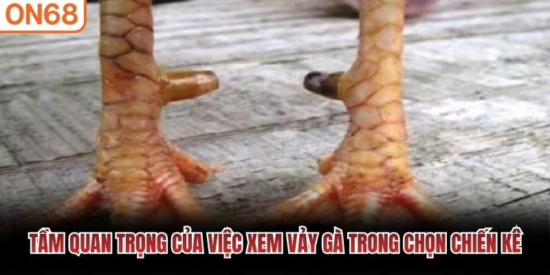 Tầm quan trọng việc xem vảy 